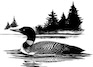 Loon Lake (Franklin County) NY