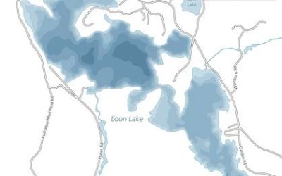 Loon Lake Community Association Reports No Invasive Species.
