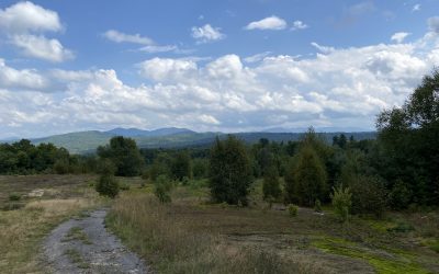 The Demise of the Loon Lake Golf Club